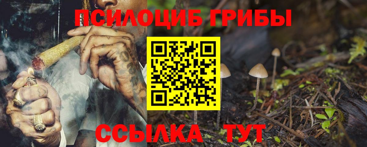 Саров  закладки  Псилоцибиновые грибы Psilocybine cubensis  Вход с VPN  Галлюциногенные грибы MAGIC MUSHROOMS 